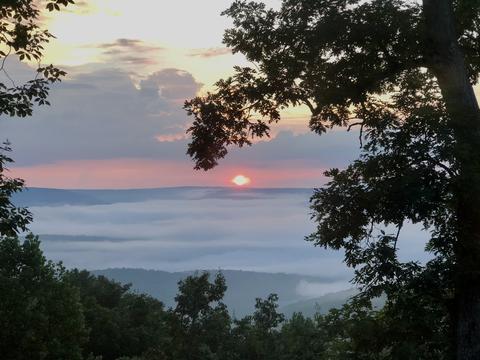 1603 Jackson Point Rd, Sewanee, TN 37375 photo 4