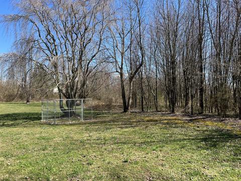 402 Forest Point Rd, Monteagle, TN 37356 photo 12