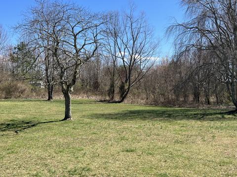 402 Forest Point Rd, Monteagle, TN 37356 photo 11