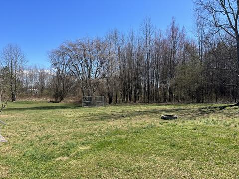 402 Forest Point Rd, Monteagle, TN 37356 photo 13