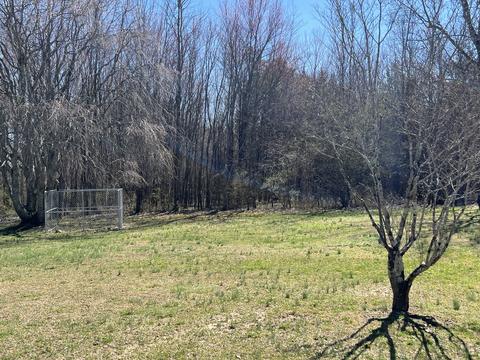 402 Forest Point Rd, Monteagle, TN 37356 photo 10