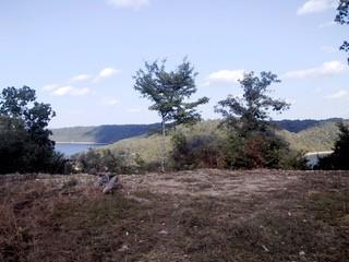 88 Davidson Rd, Smithville, TN 37166