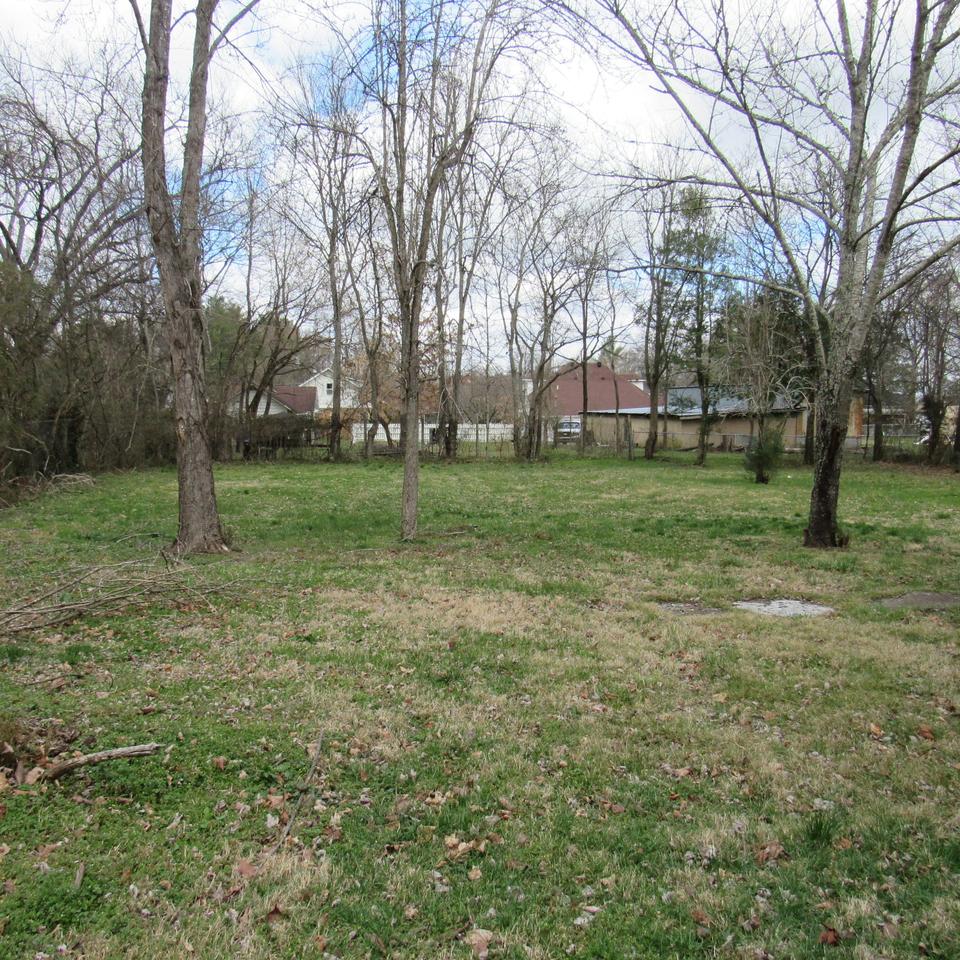  308 Locust St, Alexandria, TN 37012 photo 11