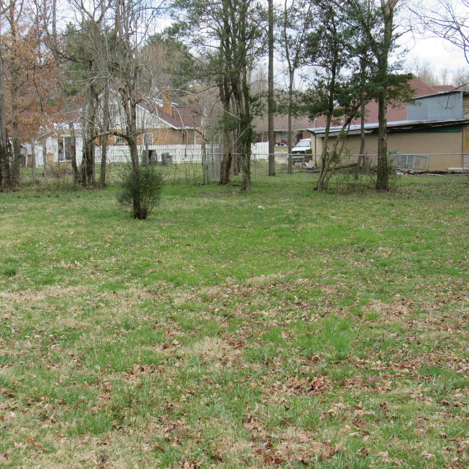  308 Locust St, Alexandria, TN 37012 photo 9