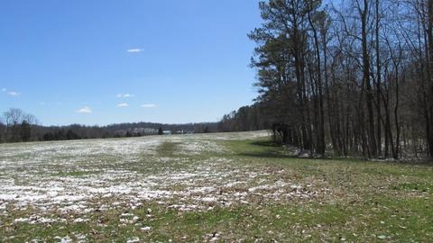 660 Piney Rd E, Dickson, TN 37055 photo 13