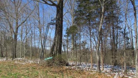 660 Piney Rd E, Dickson, TN 37055 photo 39