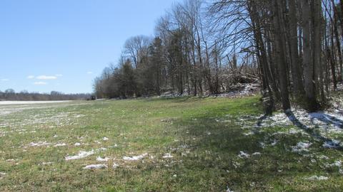 660 Piney Rd E, Dickson, TN 37055 photo 18