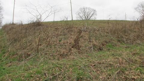 660 Piney Rd E, Dickson, TN 37055 photo 40