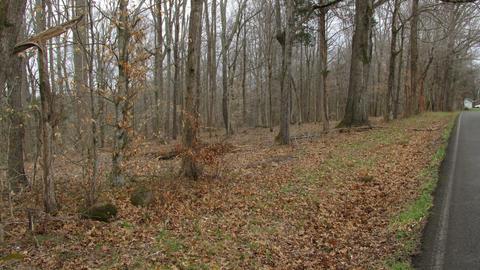 660 Piney Rd E, Dickson, TN 37055 photo 36