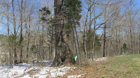 660 Piney Rd E, Dickson, TN 37055 photo 44