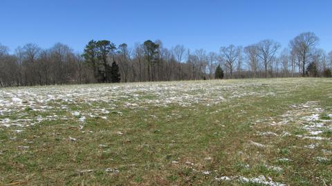 660 Piney Rd E, Dickson, TN 37055 photo 21