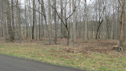 660 Piney Rd E, Dickson, TN 37055 photo 33
