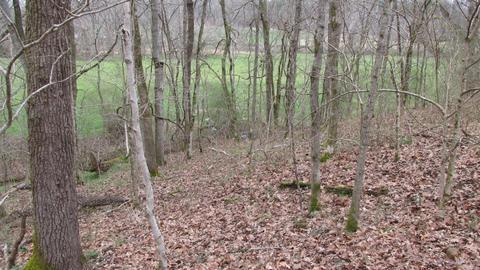 660 Piney Rd E, Dickson, TN 37055 photo 37