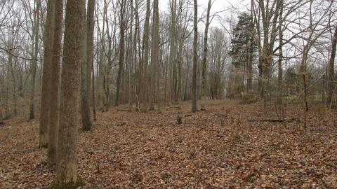 660 Piney Rd E, Dickson, TN 37055 photo 35