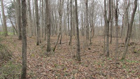 660 Piney Rd E, Dickson, TN 37055 photo 32