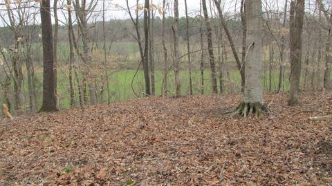 660 Piney Rd E, Dickson, TN 37055 photo 38