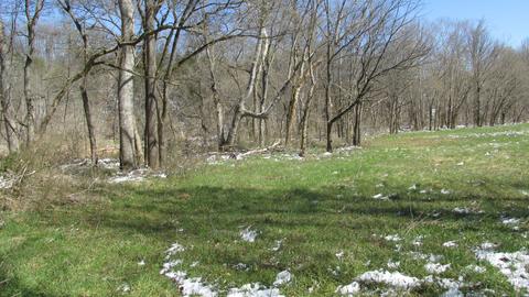 660 Piney Rd E, Dickson, TN 37055 photo 17