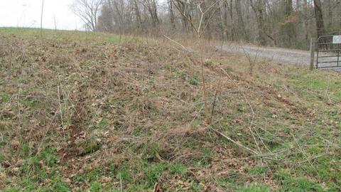 660 Piney Rd E, Dickson, TN 37055 photo 41