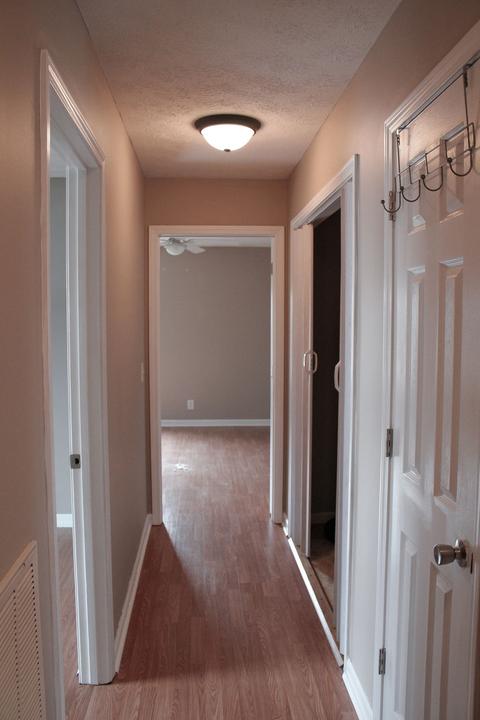 1117 10th Ave E, Springfield, TN 37172 photo 16