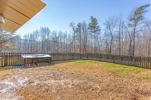 844 Brushtown Rd, Cisco, GA 30708 photo 10