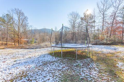 844 Brushtown Rd, Cisco, GA 30708 photo 4
