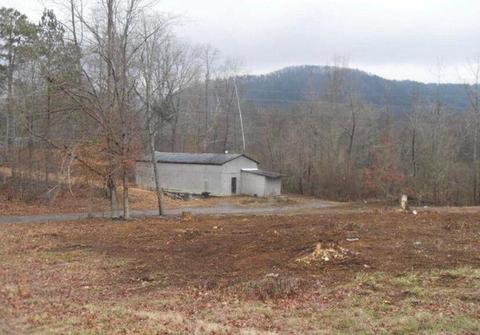 844 Brushtown Rd, Cisco, GA 30708 photo 17