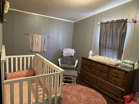 935 Pack Rd, White Bluff, TN 37187 photo 10