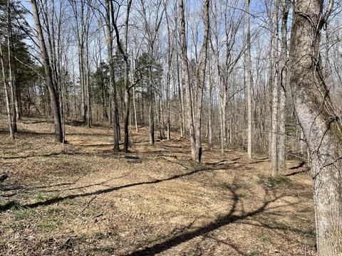 935 Pack Rd, White Bluff, TN 37187 photo 12