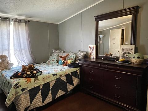935 Pack Rd, White Bluff, TN 37187 photo 8