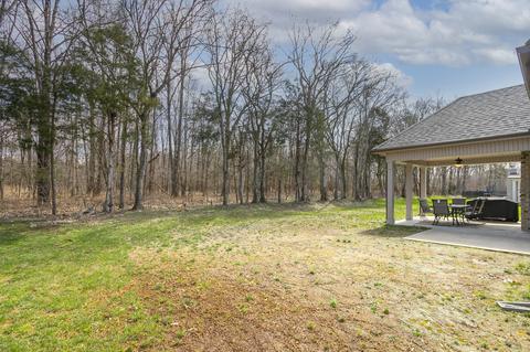 313 Mcclaran Pl, Murfreesboro, TN 37129 photo 45