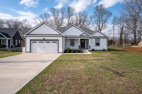 303 Diane Loop, White Bluff, TN 37187 photo 3