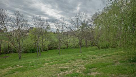 3111 Burts Xing, Springfield, TN 37172 photo 7