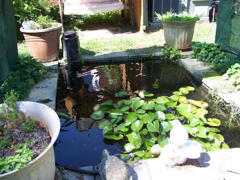 543 E Madison St, Pulaski, TN 38478 photo 44