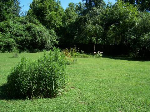 543 E Madison St, Pulaski, TN 38478 photo 42