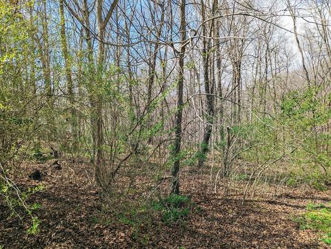 706 Hickory St, Centerville, TN 37033 photo 16