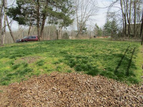 189 Old 52 Loop, Celina, TN 38551 photo 31