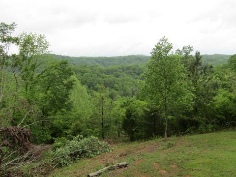 189 Old 52 Loop, Celina, TN 38551 photo 27