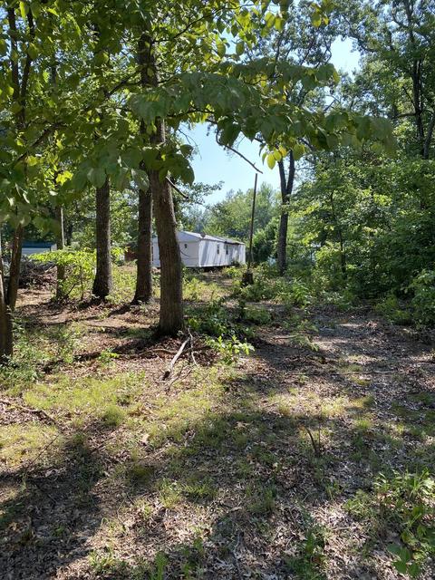 116 Oak Dr, Beechgrove, TN 37018 photo 4