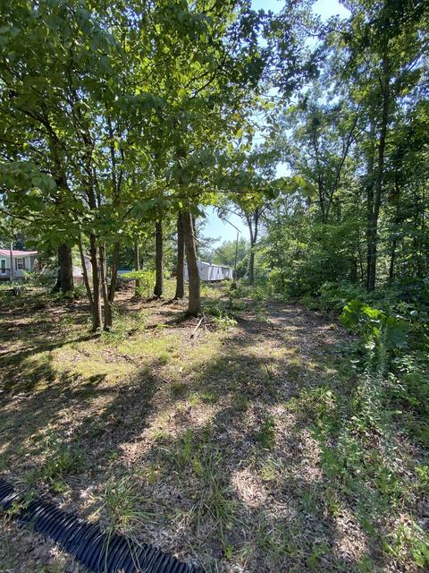 116 Oak Dr, Beechgrove, TN 37018 photo 5