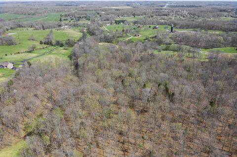 3459 Thompson Rd, Springfield, TN 37172 photo 39