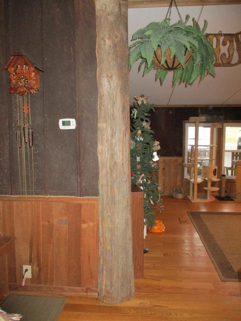 645 Murrell Rd, Dickson, TN 37055 photo 10