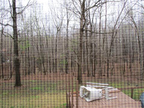 645 Murrell Rd, Dickson, TN 37055 photo 11