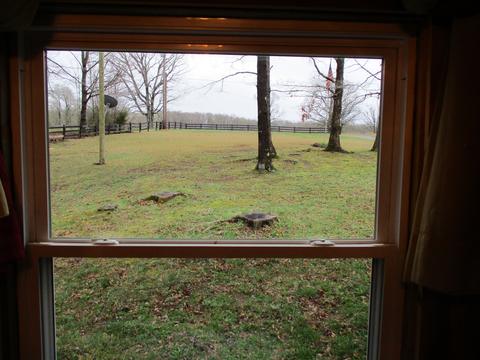 645 Murrell Rd, Dickson, TN 37055 photo 16