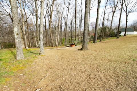205 Crow Rd, Dover, TN 37058 photo 18