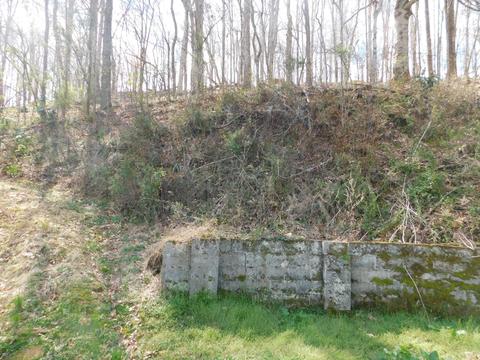 404 E Main St, Waverly, TN 37185 photo 58