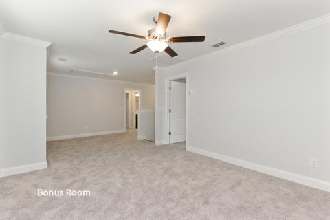 7133 Pepper Tree Cir, Fairview, TN 37062 photo 10