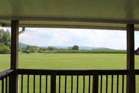 239 Mill St, Viola, TN 37394 photo 22