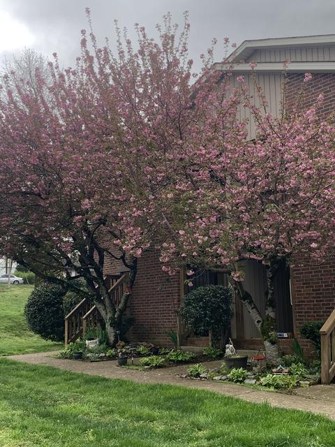 827 Highway 70 E, Dickson, TN 37055 photo 2