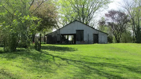 1133 Rabbit Trail Rd S, Five Points, TN 38457 photo 4