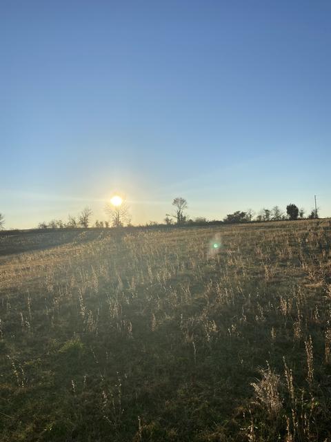 0 Epps Rd, Southside, TN 37171 photo 4
